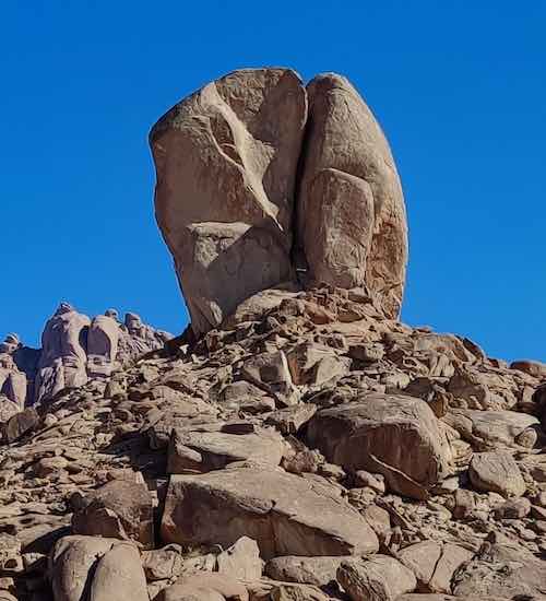 Expedition to Saudi Arabia